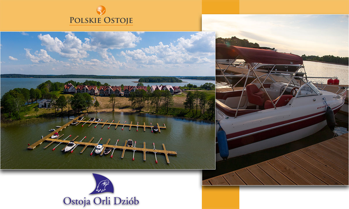 orli_dziob-1