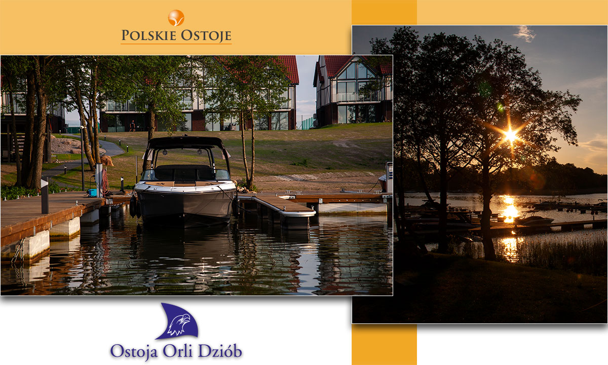 orli_dziob-5